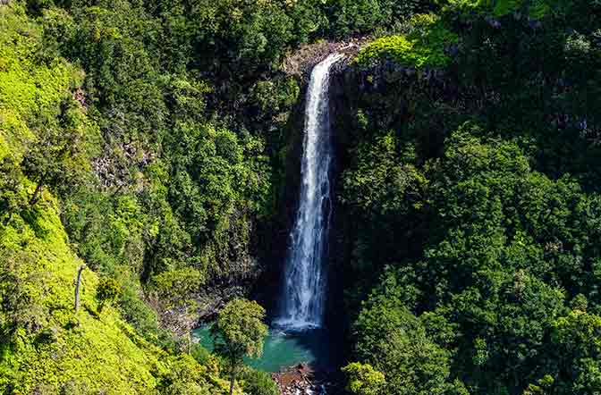 Jurassic Falls